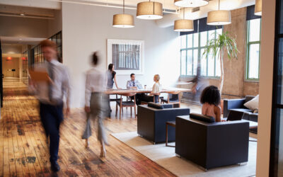 Enhancing Efficiency: The Influence of Office Layouts on Employee Productivity